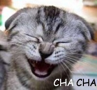 obrazky-ruzne/cha-cha.jpg obrazky-ruzne/cha-cha.jpg