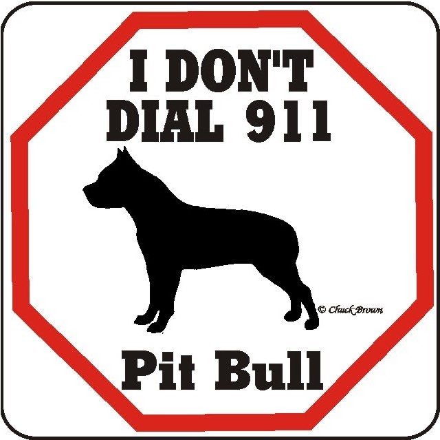 pit20bull-911-6401.jpg pit20bull-911-6401.jpg