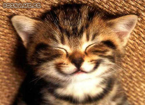 smile.jpg smile.jpg