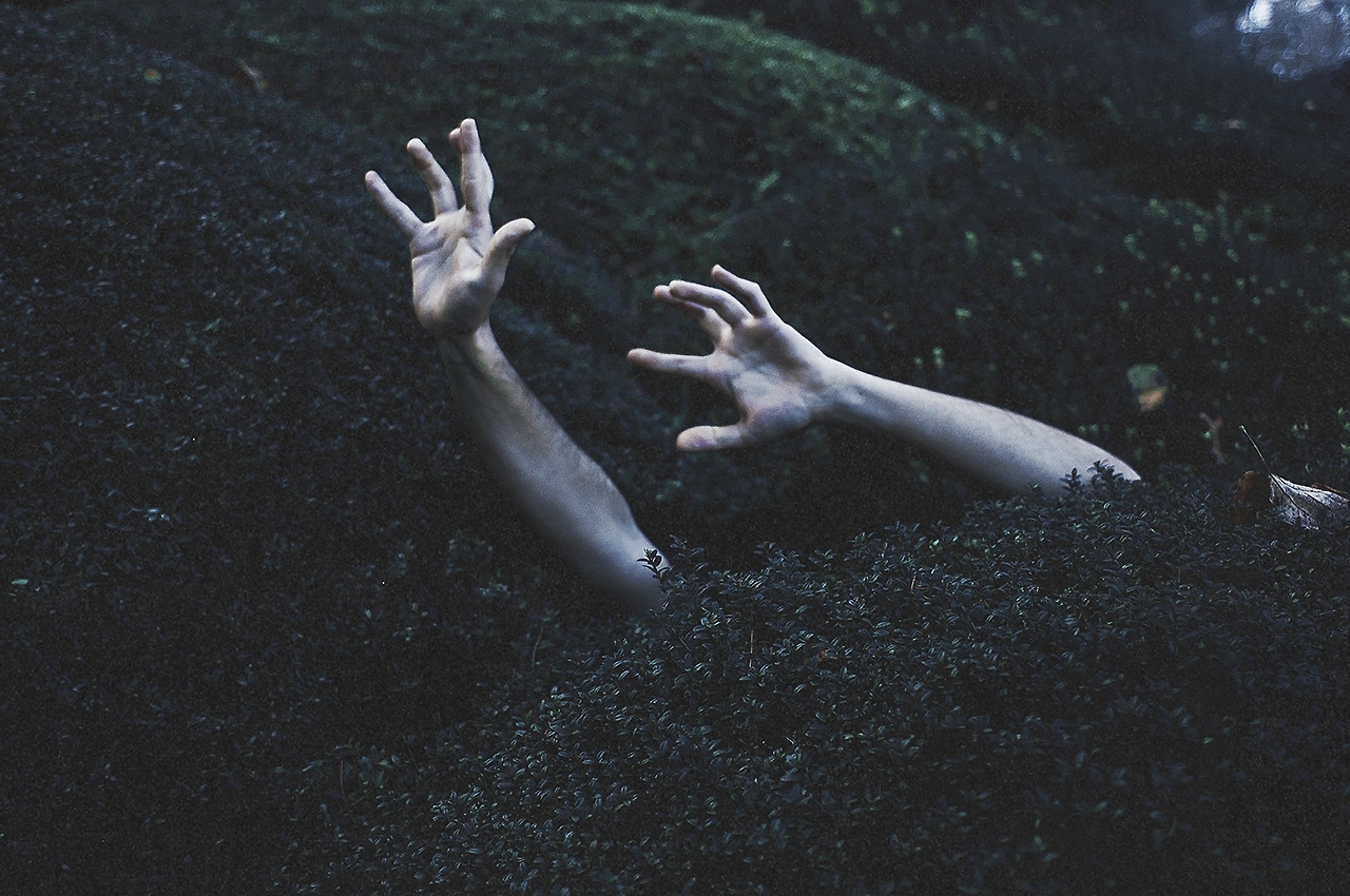 tumblr-nfcodfwum71qj5oxwo1-1280.jpg tumblr-nfcodfwum71qj5oxwo1-1280.jpg