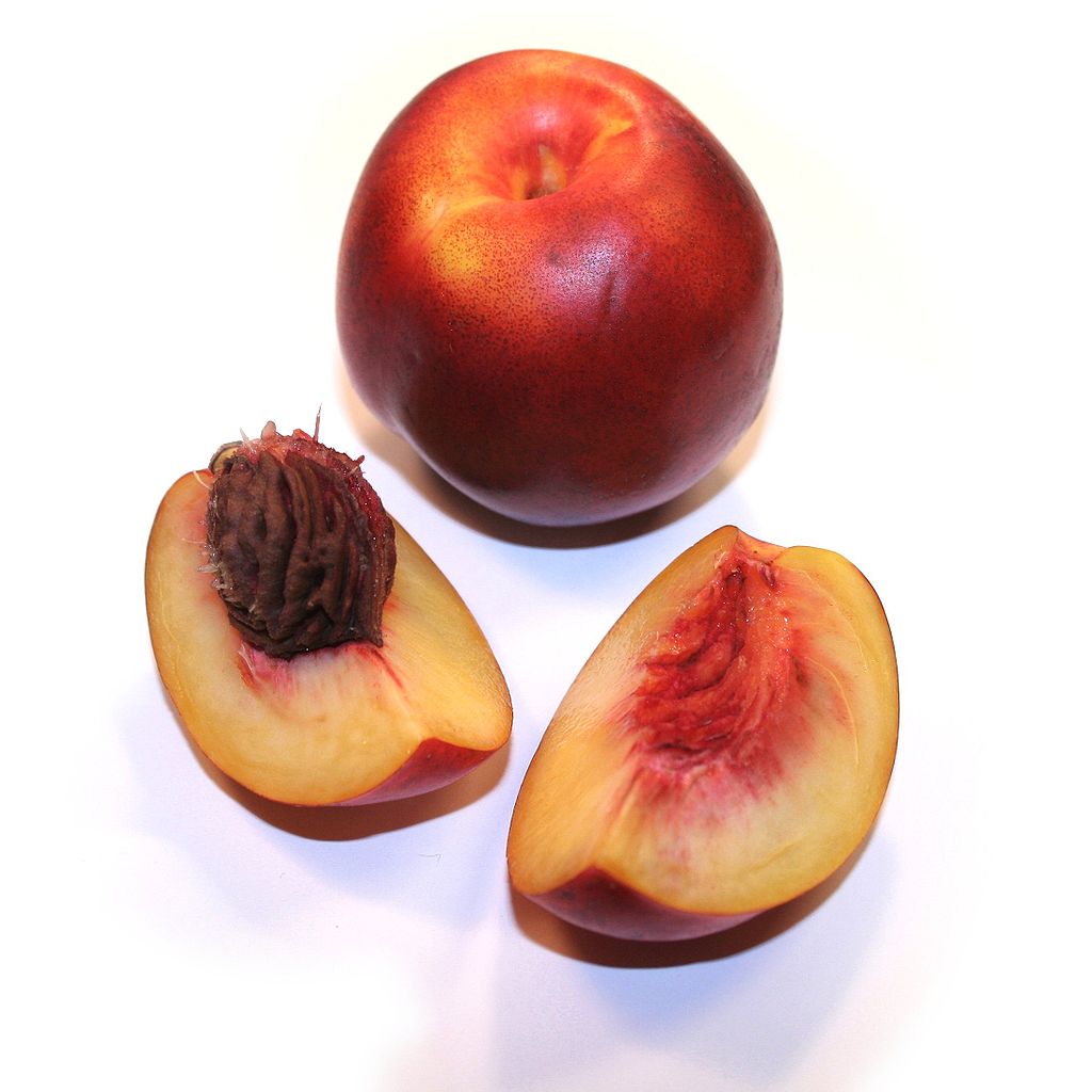 1024px-nectarine.jpg 1024px-nectarine.jpg